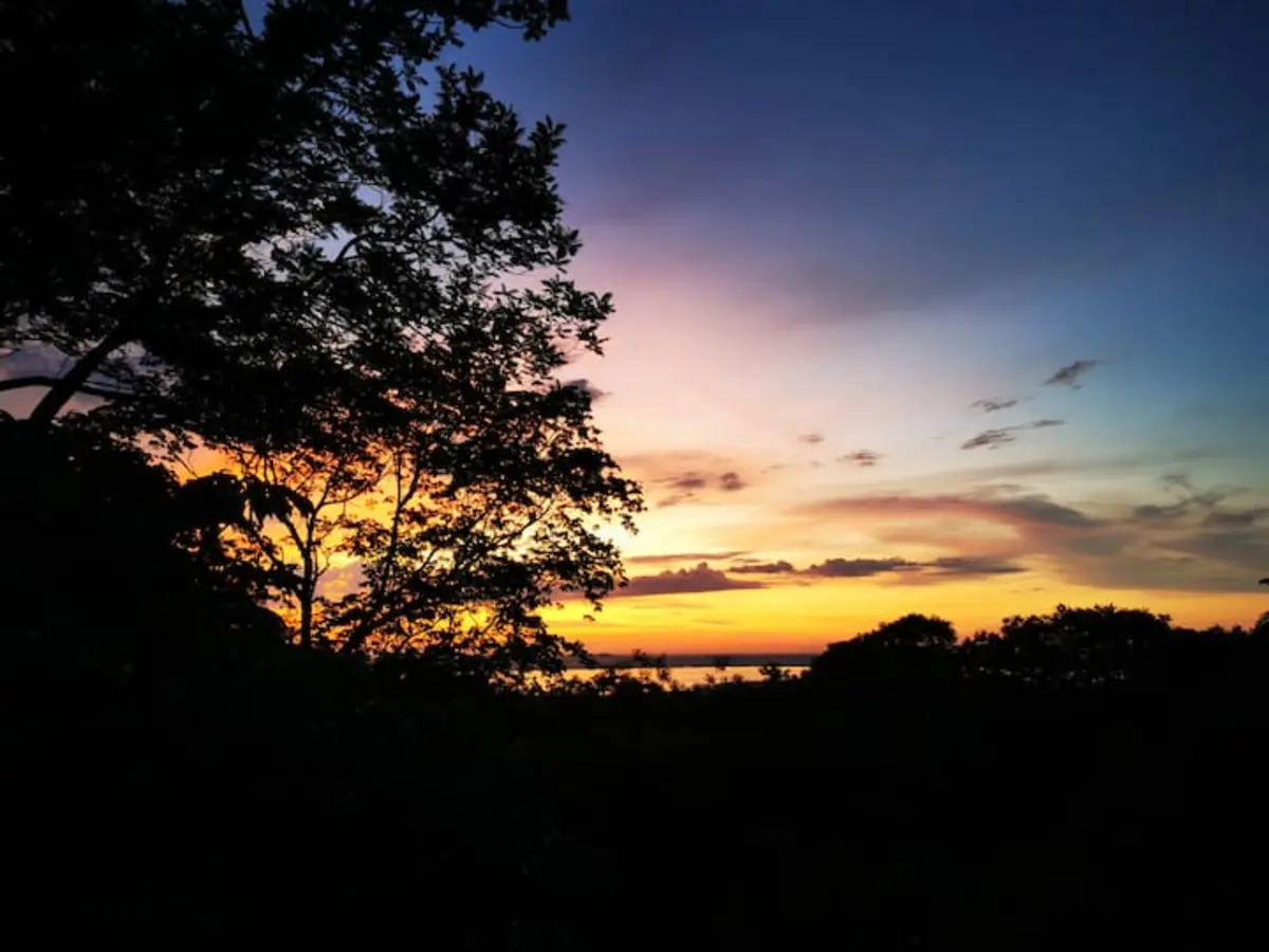 Noches Árabes detalle